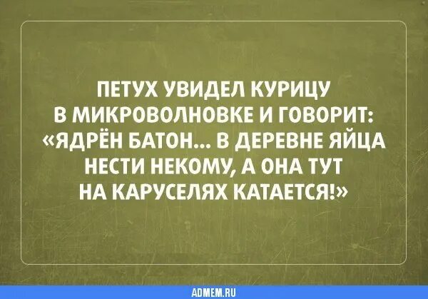 Анекдоты про кур. Анекдот про курицу. Анекдоты про кур и петухов. Анекдоты про петухов и куриц. Замечена курица