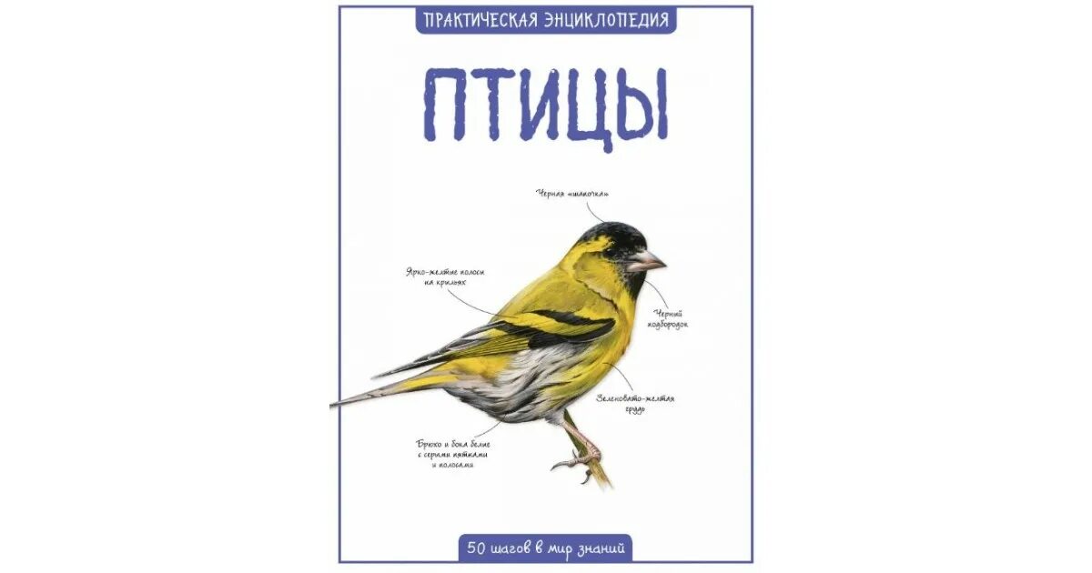 Книги о птицах. Книги о птицах для детей. Птицы : 50 шагов в мир знаний : практическая энциклопедия. Бедуайер к. "мир и человек".