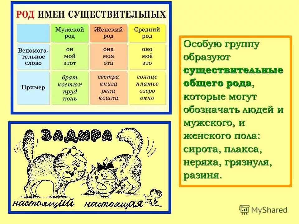 Определение имени существительного приведите примеры Русский язык. Несклоняемые существительные. 2023 Дистанционное обучение 6-В МБОУ