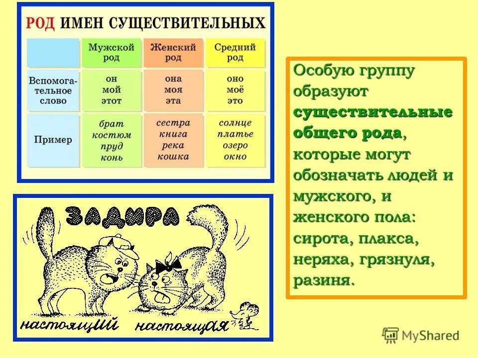 Грустную какой род. Существительные общего рода. Слова общего рода. Род имен существительных. Слова общего мужского рода.