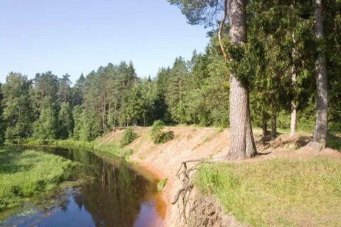 Оредеж