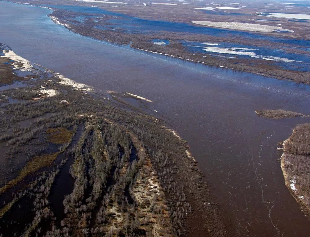 Карское море Тазовская губа. Карское море Обская губа. Река Обь Обская губа. Тазовская губа Ямал. Река обь впадает в северный ледовитый океан