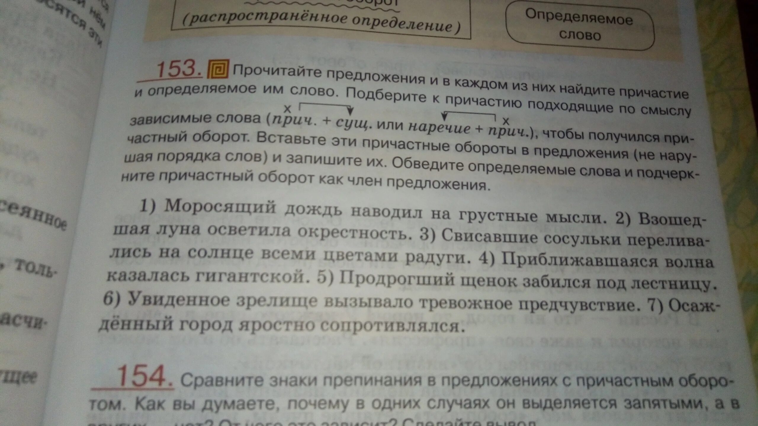 Солнце поднимается лес озаряется ярко красным светом. Солнце поднимается и вся окрестность. Солнце поднимается и вся окрестность освещается радостным светом.