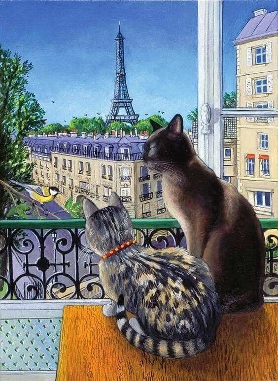 Коты эрмитажа рисунок. Парижский кот. Коты на крыше. Кошка в Париже. Питерский кот.