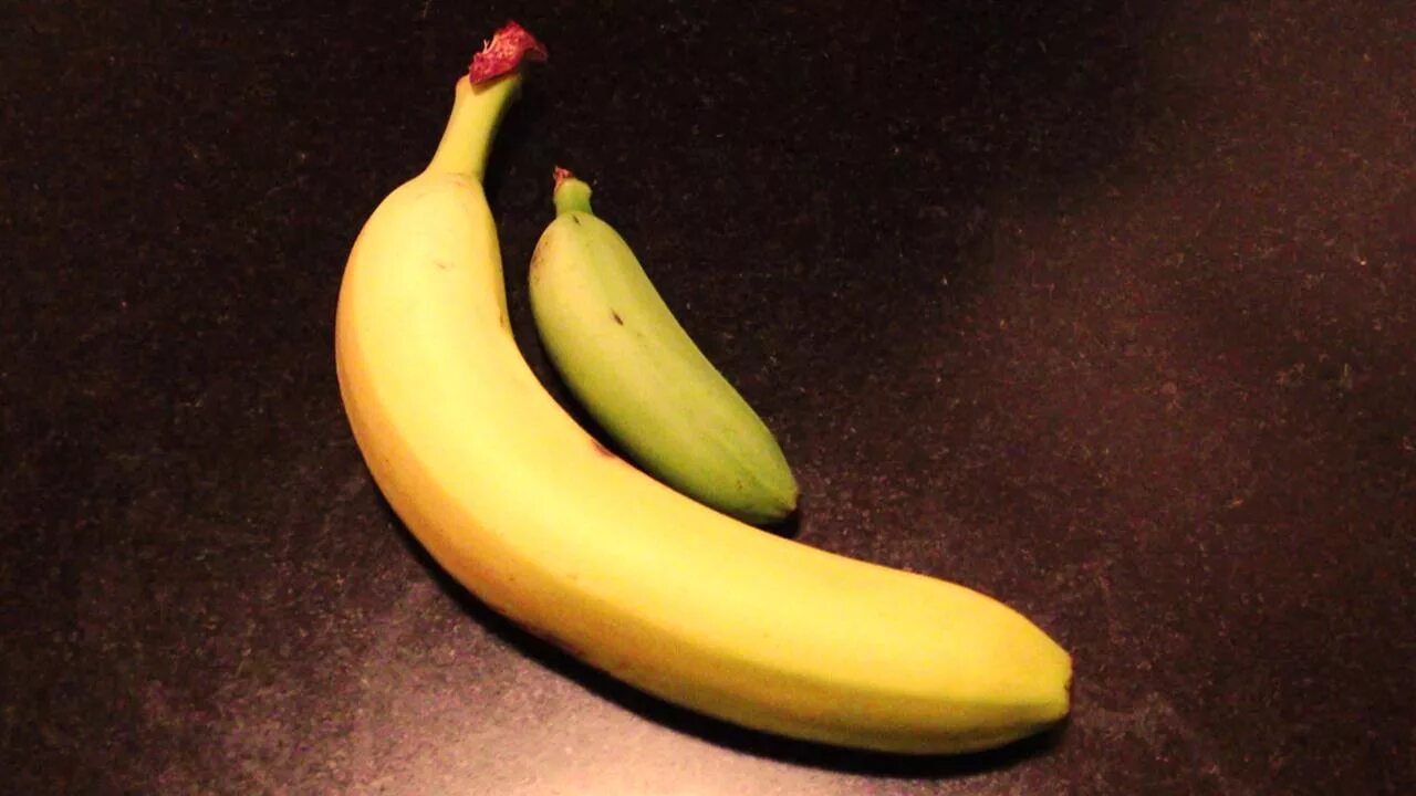 Включи big banana. Маленькие бананы. Большой банан. Большой и маленький банан. Огромный банан.