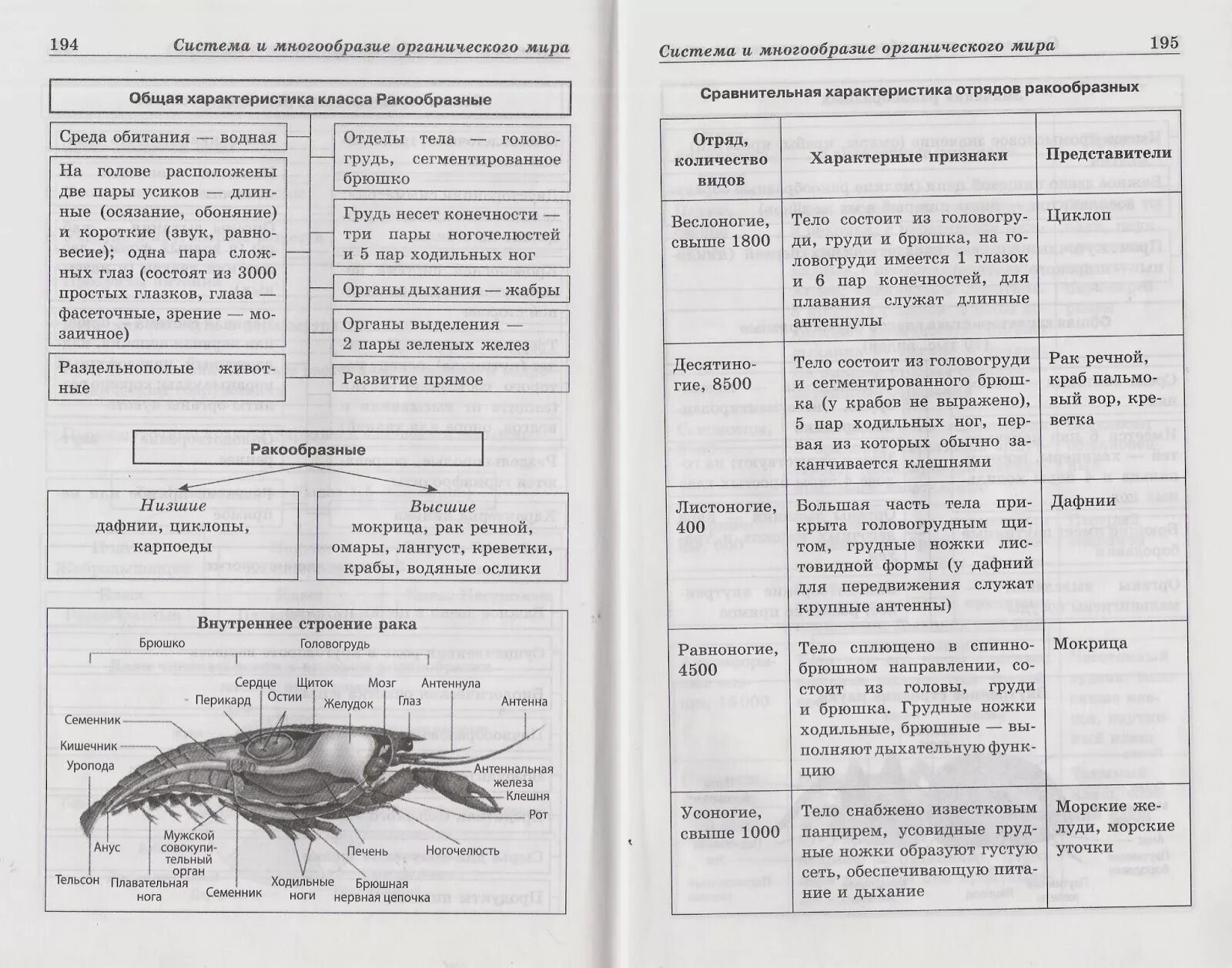 Таблица биология ракообразные. Внутреннее строение ракообразных 7 класс таблица. Таблица внутреннее строение ракообразных биология 7 класс. Таблица по биологии 7 класс класс ракообразные общая характеристика. Строение ракообразных 7 класс биология таблица.