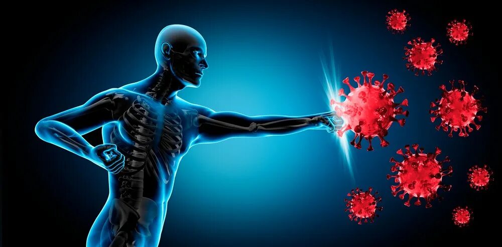 Our bodies our lives. Иммунная система. Иммунная защита организма человека. Здоровая иммунная система. Поражение иммунной системы.