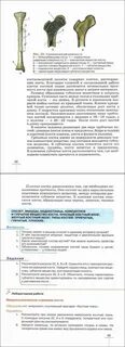 Лабораторная работа по биологии 8 класс учебник