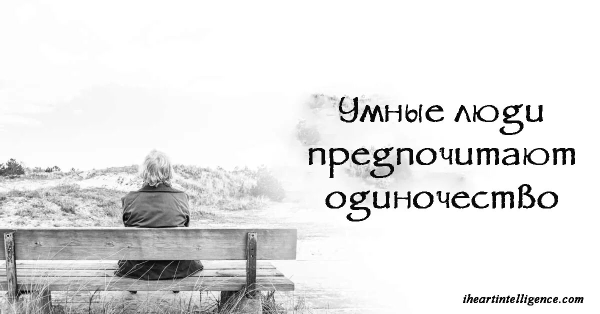 Люди любящие умных людей. Человек любящий одиночество. люди одинокие и умные. человек который любит одиночество. умный человек одинокий человек.