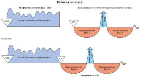 Активная фаза