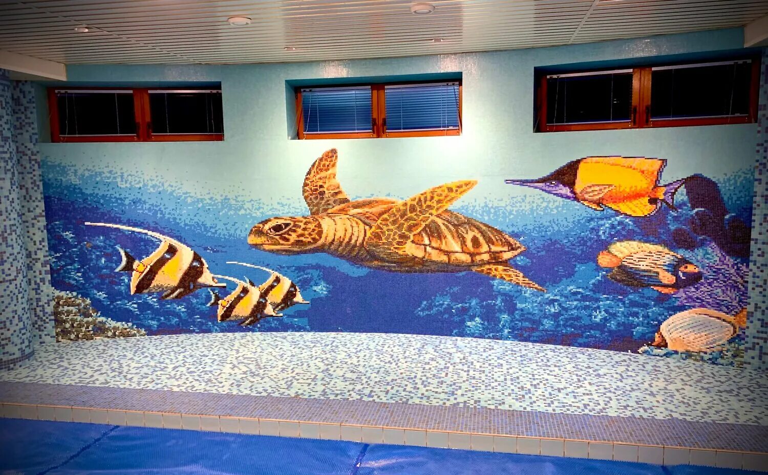 сауна водный мир. шереметьевские бани в лобне. белокуриха бассейн водный мир. сауна водный мир. белокуриха санатории водный мир бани.