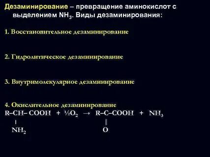 Биологическая роль дезаминирования аминокислот