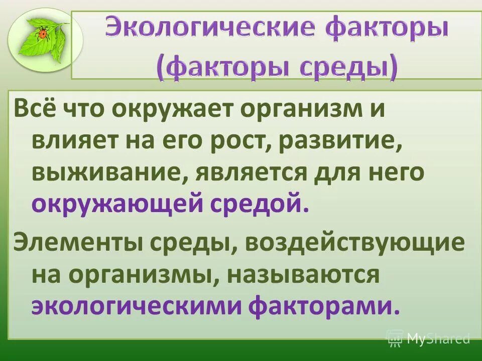 Как называют компоненты окружающей среды влияющие