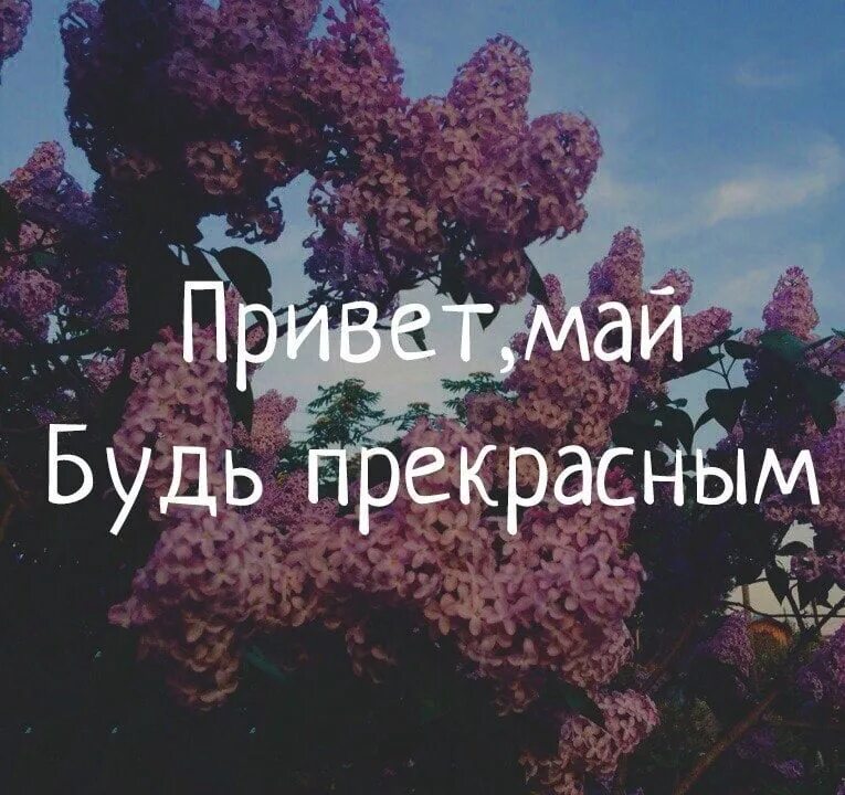 май удивляй. май удивляй. Welcome may we heart it. мир труд май поздравление. надпись здравствуй май.