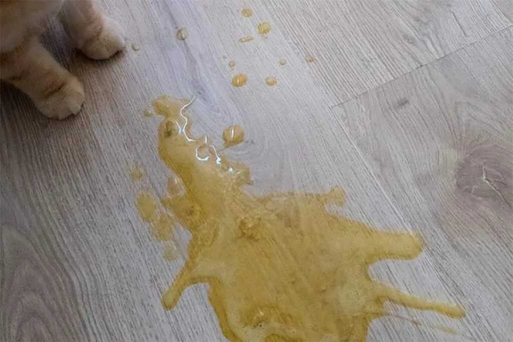 Сильно какает