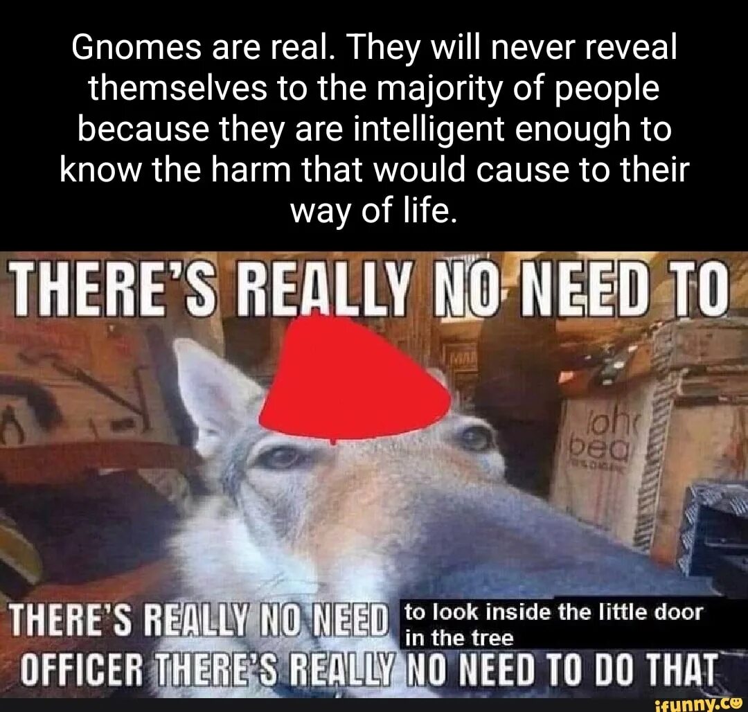 They really really were. Gnomes are real. Волк делает селфи. Тотал Вольф мемы.