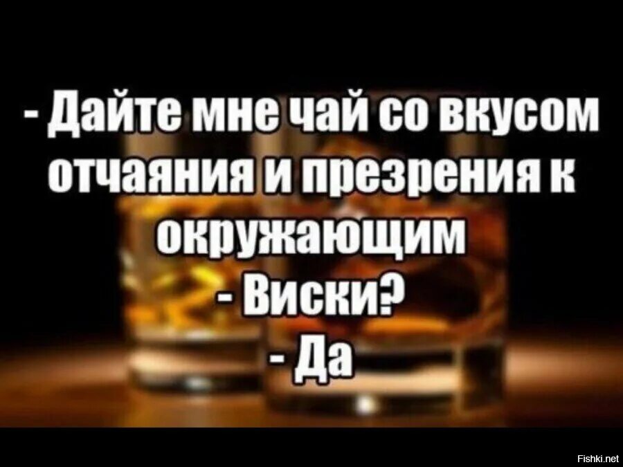 Я ждал тебя бутылок виски. Виски юмор. Смешные анекдоты про виски. Виски прикол. Смешные высказывания про алкоголь.