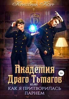 Академия стражей аудиокнига