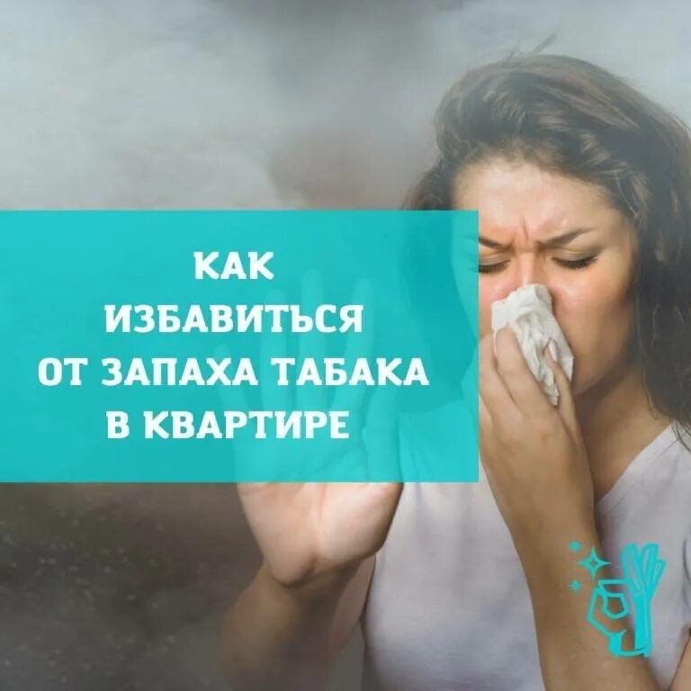 Как избавиться от запаха табака в квартире. Запах табака. Запах курева. Избавление от запахов. Избавление от запаха табака.