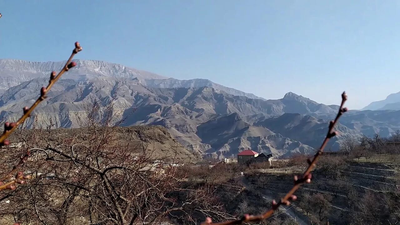 Погода в горном на апрель. Ашильтинский лес Дагестан. Горы Унцукуля. Дагестан горы апрель. Ашильтинский лес Унцукульского района.