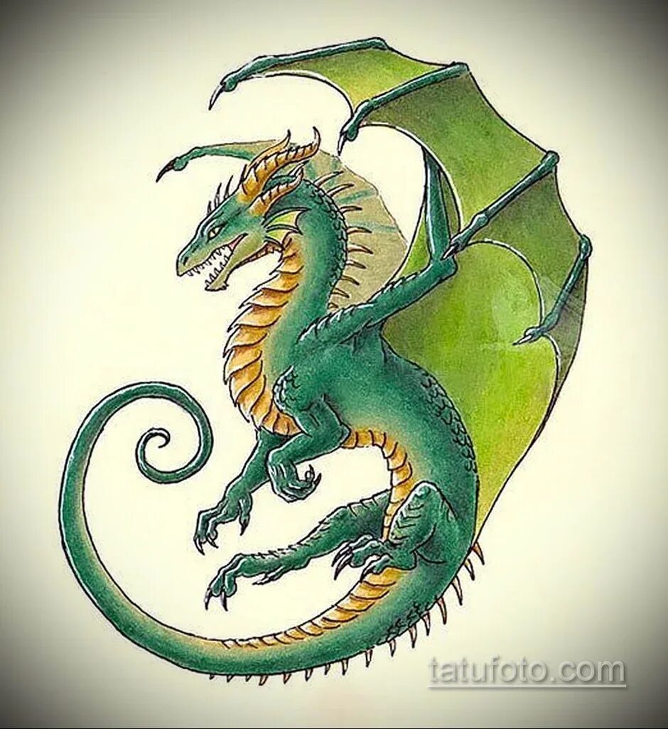 Рисунок зеленого деревянного дракона. Средневековый узор с драконами. Дракон круглый. Дракон средневековый рисунок. Средневековье узоры дракон.
