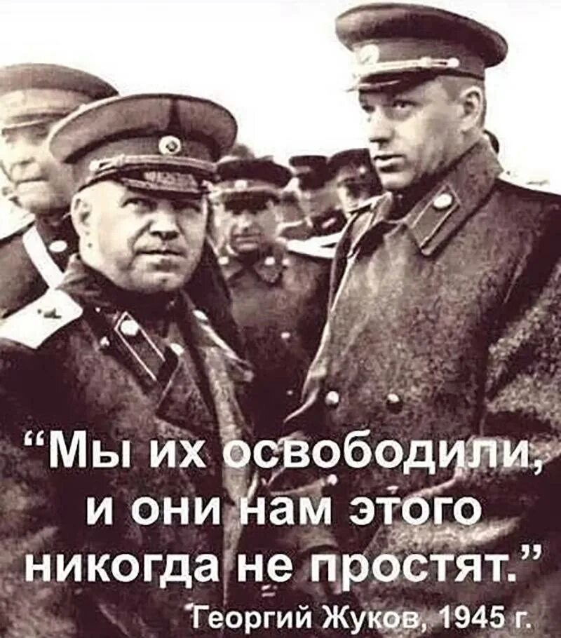 Когда русские вновь стали хозяевами в стране. Мы их освободили и они нам этого никогда не простят. Жуков высказывания. Жуков мы их освободили и они нам этого никогда не простят. Жуков Рокоссовскому мы их освободили и они нам этого не простят.