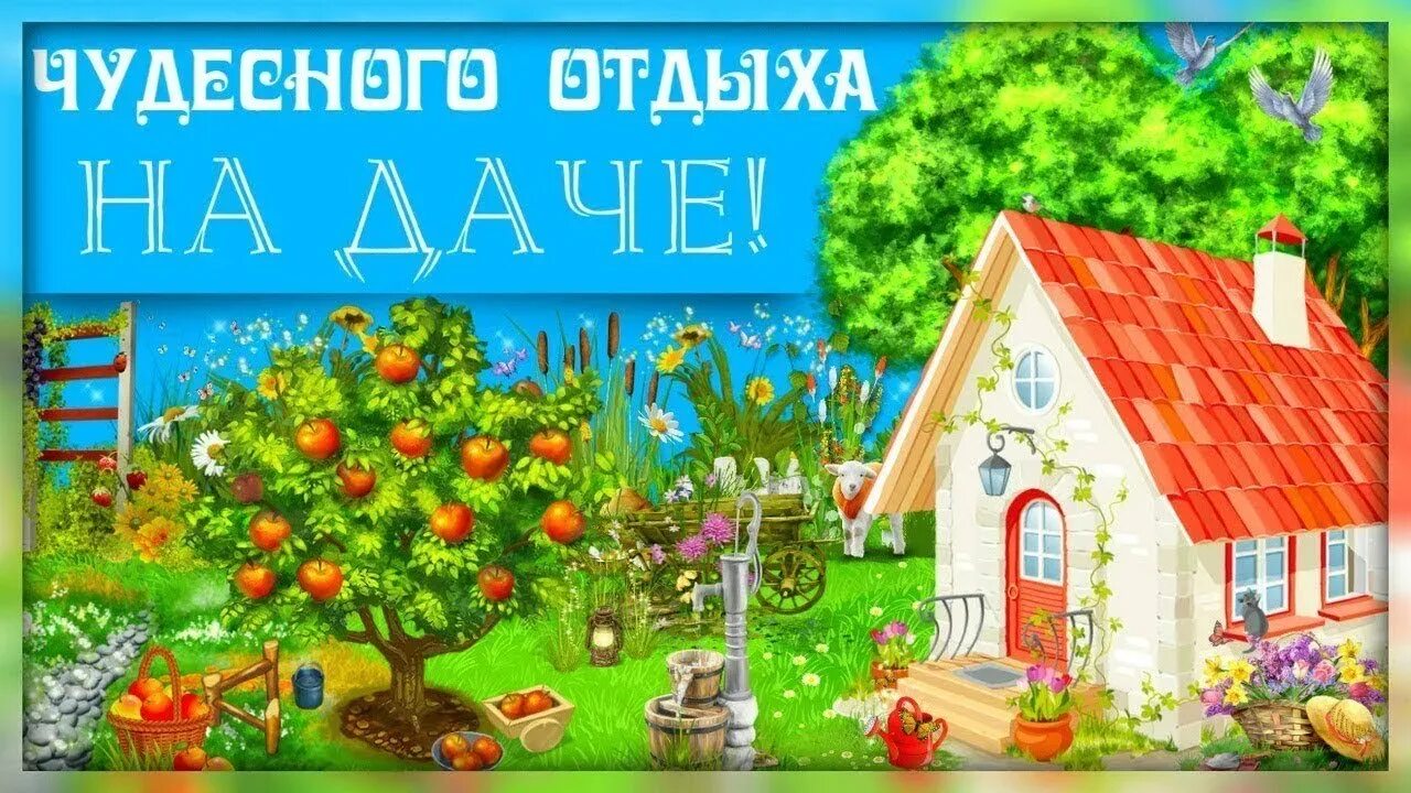 Приколы про огород и дачу. Картинки про огород прикольные. Открытки дача огород. Прикольные песни про дачу. Приколы про огород и дачу.