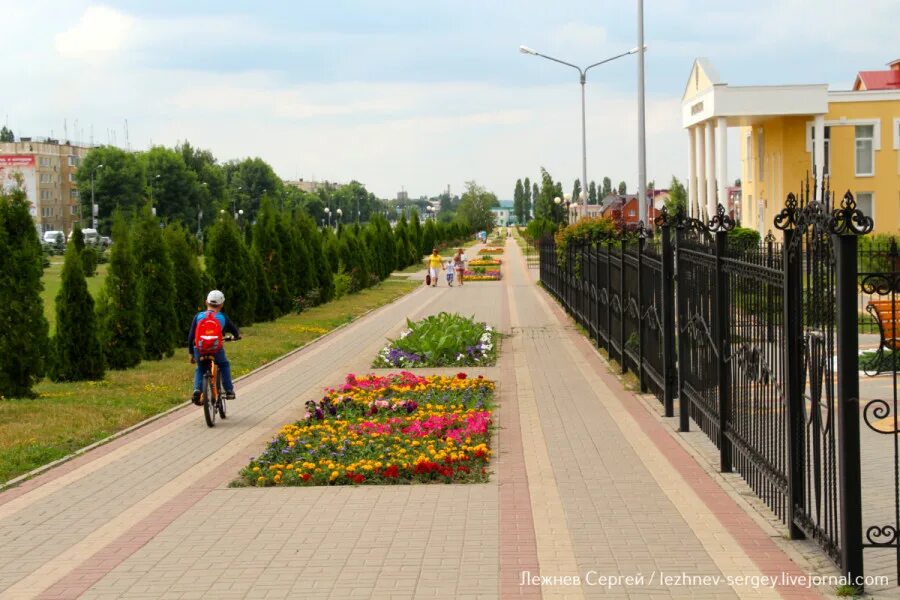 Г Строитель Яковлевский район. Г.Строитель Яковлевский район Белгородская область. Город Строитель Яковлевский район. Строитель Яковлевский район парк роз.