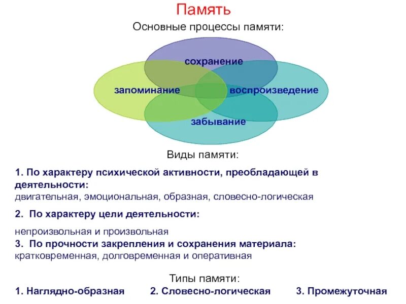 Процессы запоминания сохранения воспроизведения забывания. Виды и процессы памяти. память ее виды основные процессы памяти. память это в психологии. память по характеру запоминания.