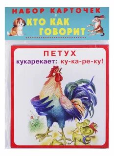 Слова на вопросы кто что карточка