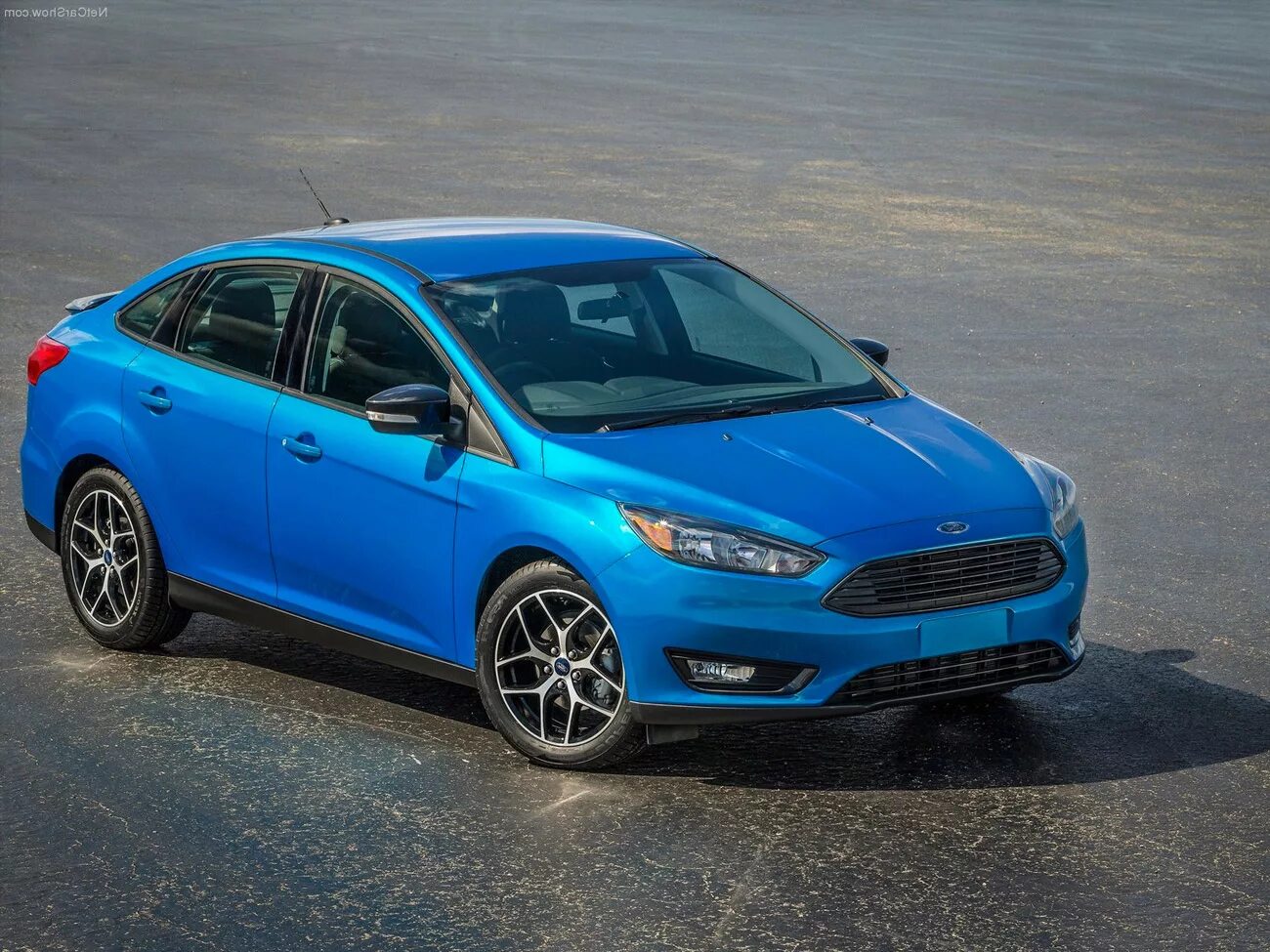 Форд фокус хлопок. Ford Focus 2015. Ford Focus 2014 седан. Форд фокус 2015 седан. Форд фокус 2015 хэтчбек.