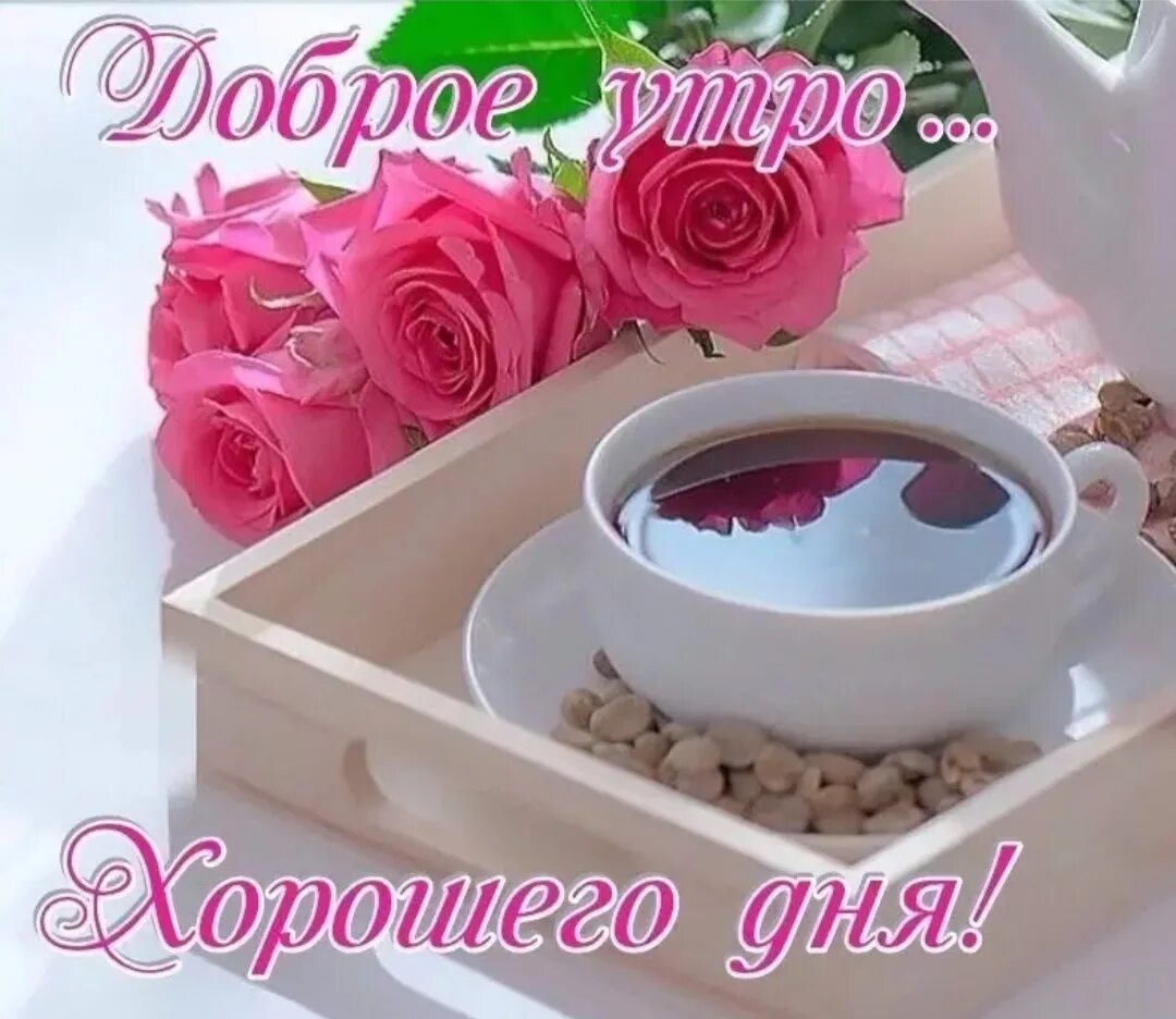 Хорошего утра и прекрасного дня любимой. Доброе утро хорошего настроения. доброе утро отличного дня. доброе утро и отличного настроения. доброго утречка хорошего и отличного настроения.