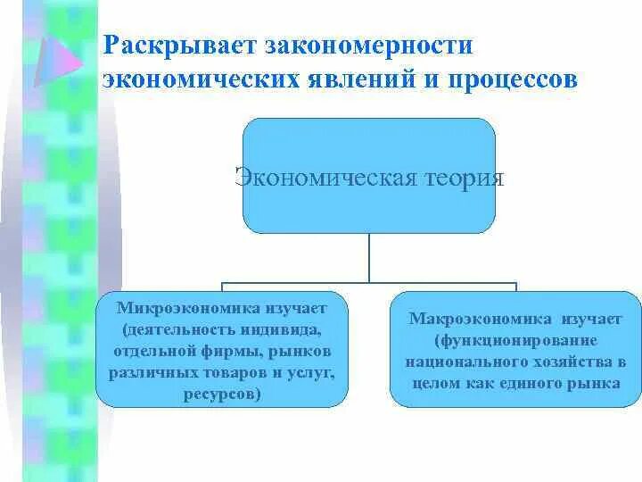 Экономические закономерности и тенденции. Закономерности экономических процессов. Экономическая деятельность индивидов. Экономические закономерности примеры. Экономические закономерности в отрасли образования.