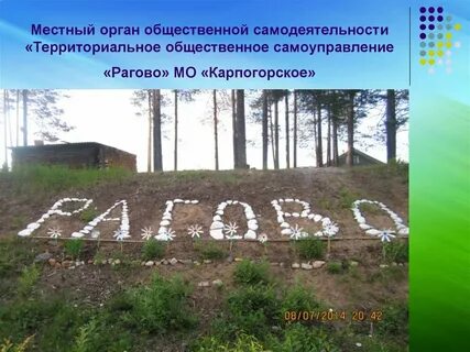 Орган общественной самодеятельности примеры