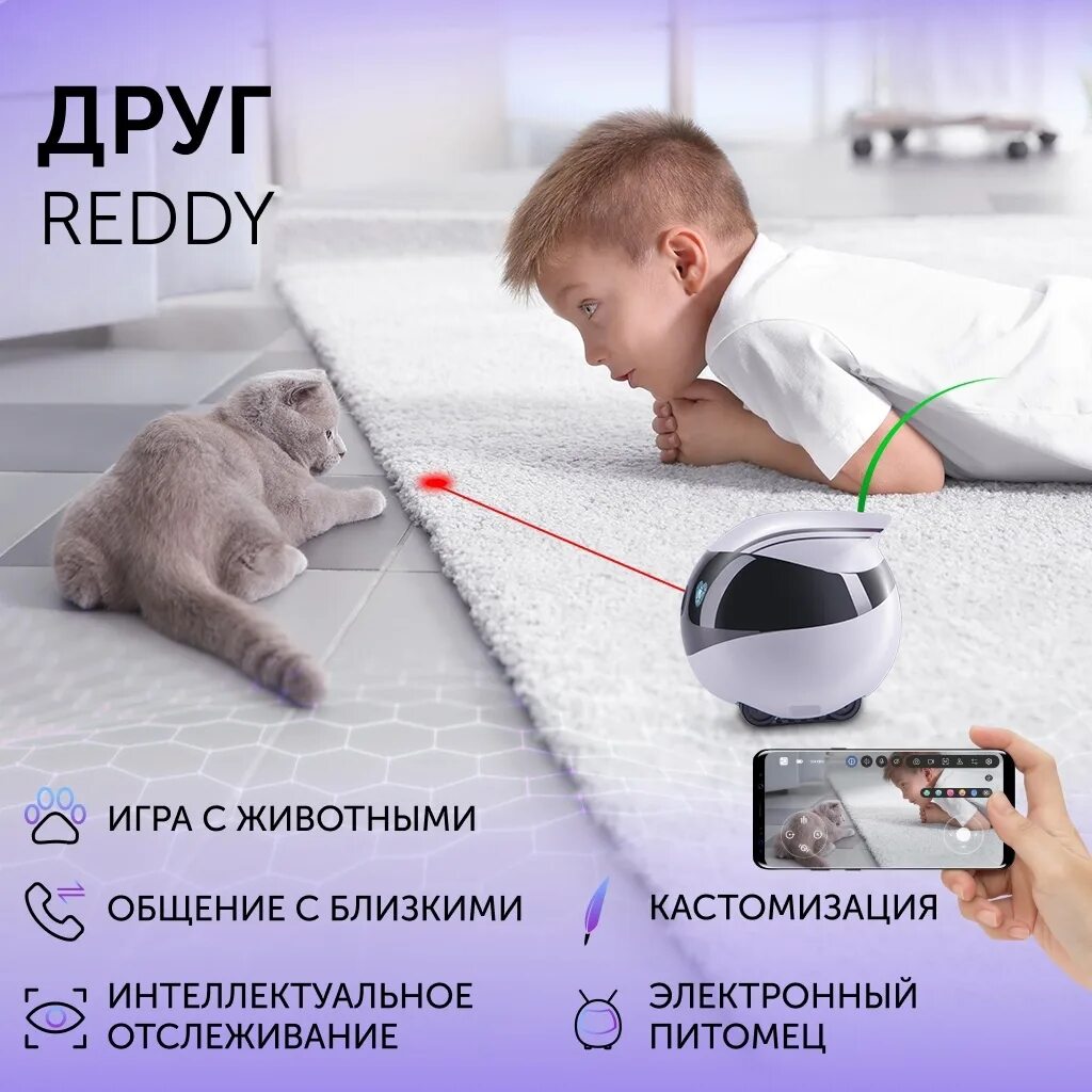 Reddy air. Reddy air