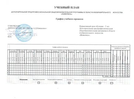Предпрофессиональные программы в школе искусств