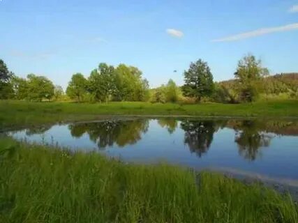 Красная поляна вятскополянского кировской