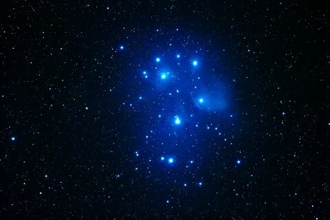 Came stars