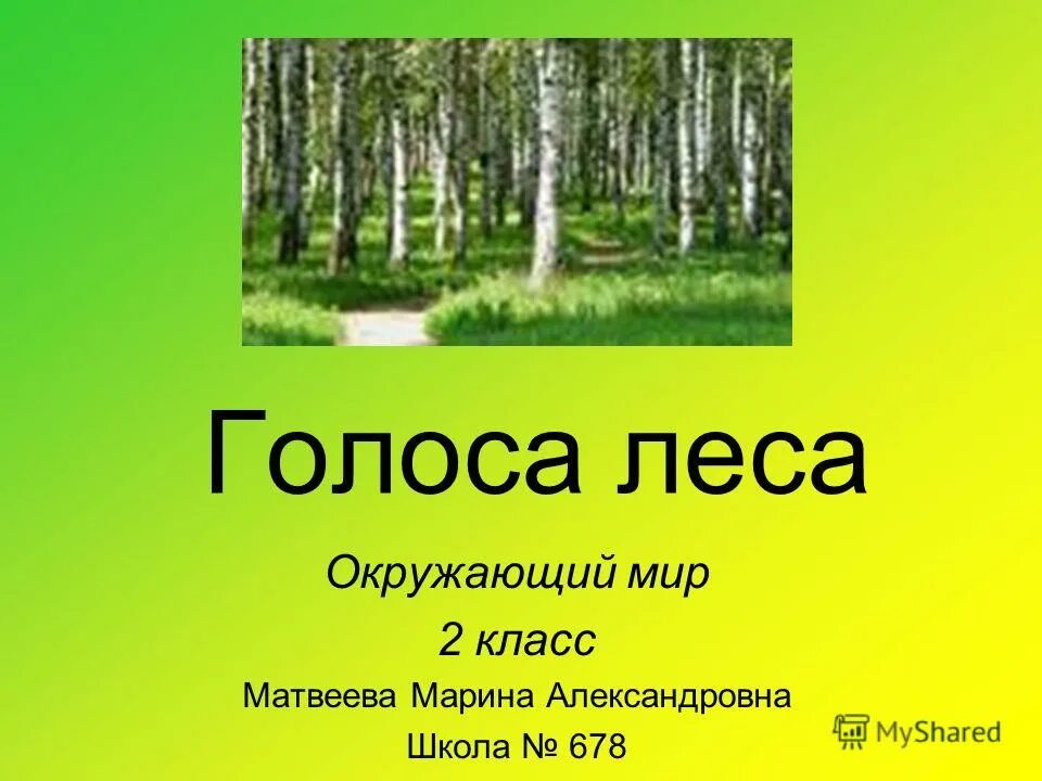 Произведение голос в лесу. Лес окружающий мир 2 класс. Голоса леса. Голос в лесу. Голос из леса.