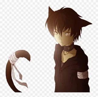 Cat boys
