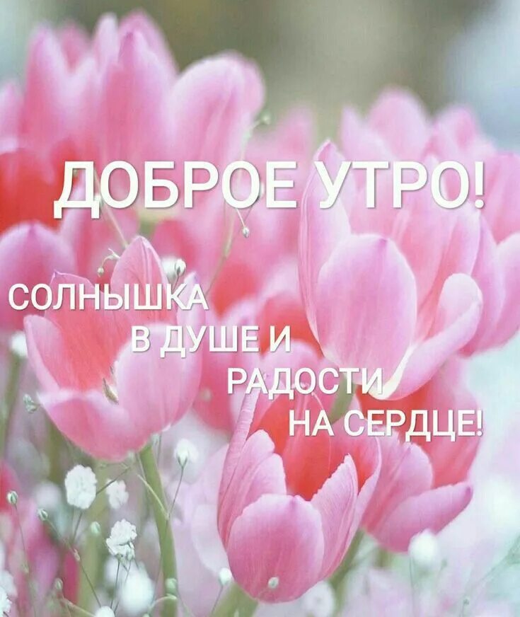 Утро тепла в душе. Доброе утро радость. Доброе утро и радости в душе. Доброе утро душевные.