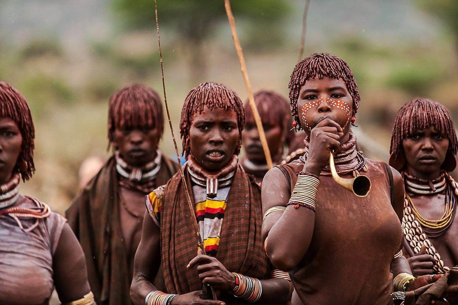 Племя Хамер Эфиопия. Долина ОМО Эфиопия. Африканское племя Хамер. Племя Хамер Эфиопия женщины. Дикая без слов