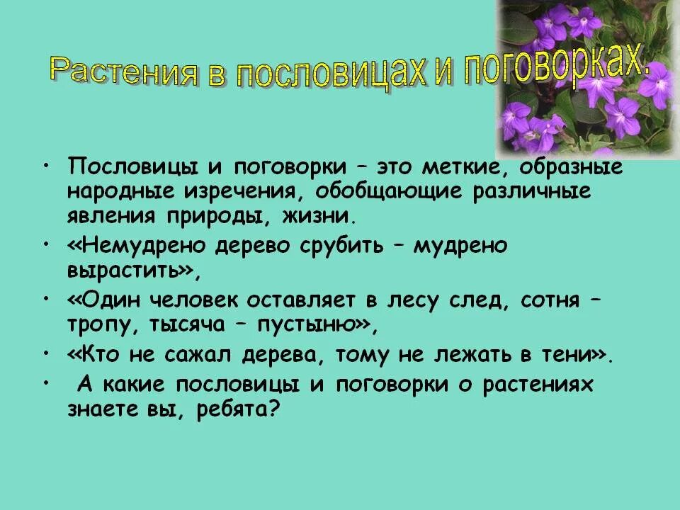 Поговорки о цветах. Пословицы о растениях. Пословицы и поговорки про цветы. Пословицы и поговорки о растениях. Пословица трава.