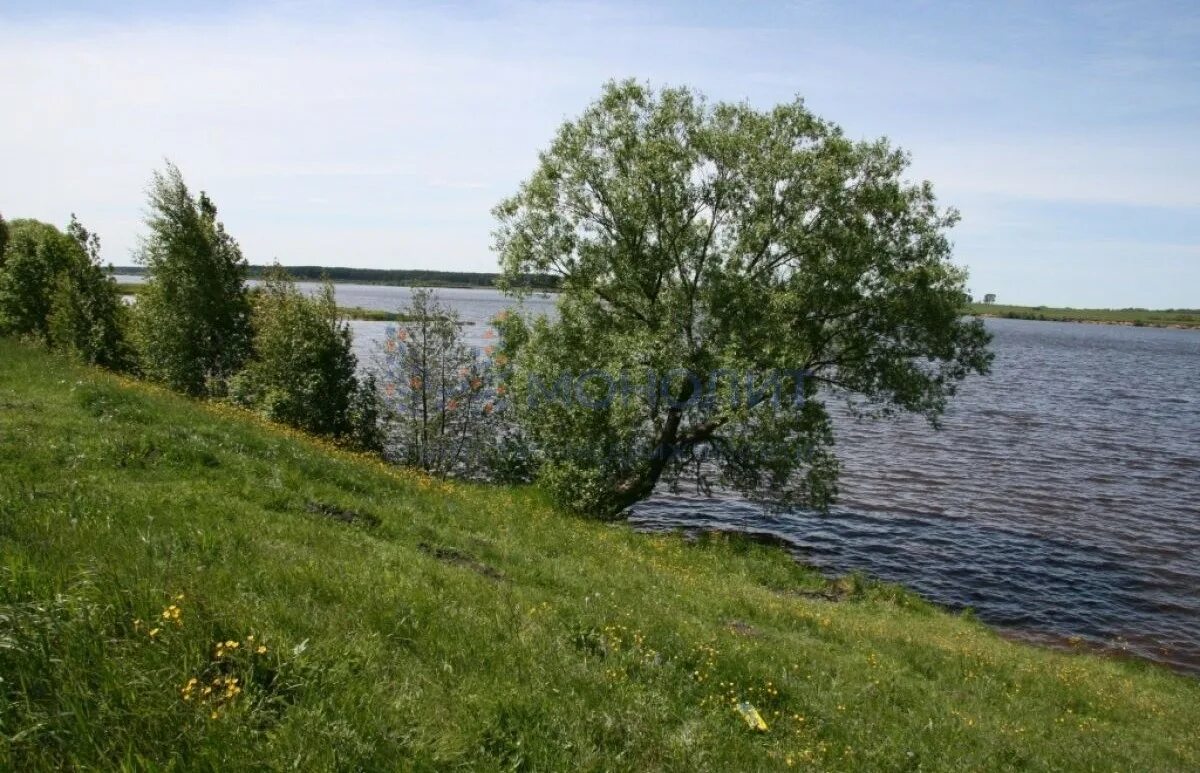 Участок на волге. Деревня филиппово кимрский район тверская область. Участок на волге. Участок на берегу волги. Новое село кимрский район волга.