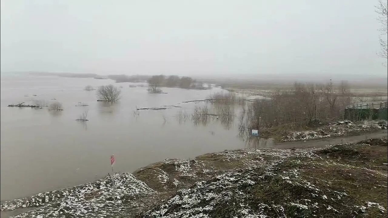 Уровень воды в оке в луховицах сегодня. Разлив Оки 2022 Серпухов. Разлив реки Ока в Серпухове. Ока река Рязань разлив. Разлив Оки в Серпухове 2023.