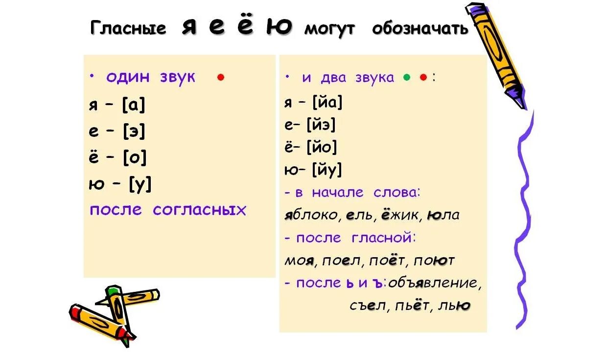 Ежик количество звуков. Когда гласные е ё ю я обозначают два звука. Когда буквы е ё ю я обозначают два звука. Какие 2 звука обозначает буква е. Когда гласные буквы обозначают 2 звука.