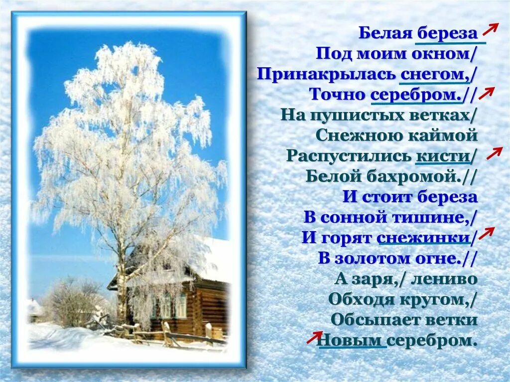 Белая береза стихотворение 2 класс васильев. Стихотворение Есенина береза.