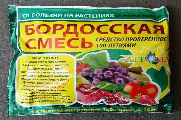 Бордосская смесь 3проц. Медный купорос и бордосская смесь. Бордосская смесь для опрыскивания. Бордосская смесь готовая. Как приготовить 3 процентный раствор бордосской жидкости