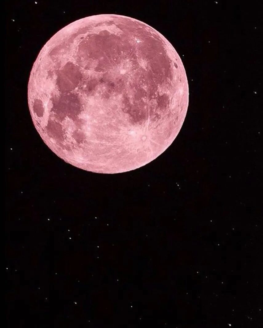 Есть розовая луна. Розовая Луна. Розовая Луна Эстетика. Бывает ли розовая Луна. Розовое полнолуние.