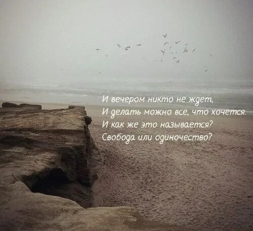 Почему меня никто не хочет. Свобода и одиночество цитаты. Высказывания про одиночество. Стихи про свободу. Одиночество стихи цитаты.